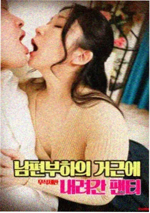 归途 免费观看全集